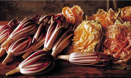 http://www.giuseppeborsoi.it/wp-content/uploads/2008/03/radicchio-rosso1.jpg