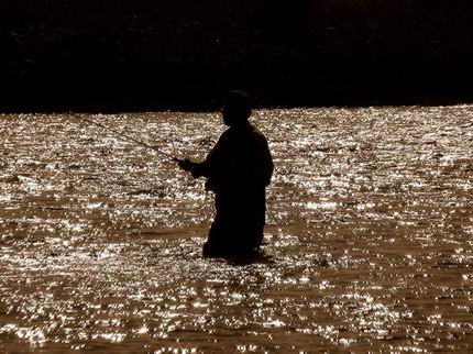 Pesca