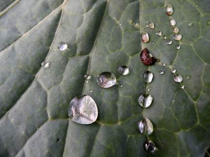 Gocce Artistiche by Beppe