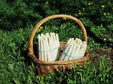 Un Bouquet di Asparagi Bianchi