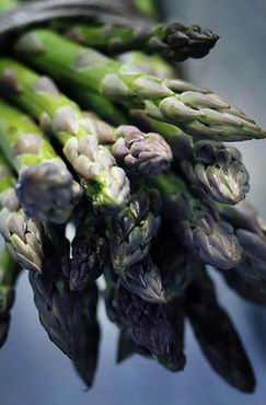 Bouquet di Asparagi