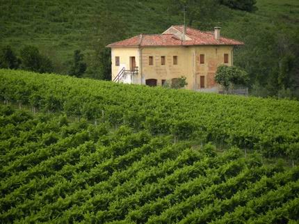 Casa tra i vigneti nel Vittoriese by BEPPE