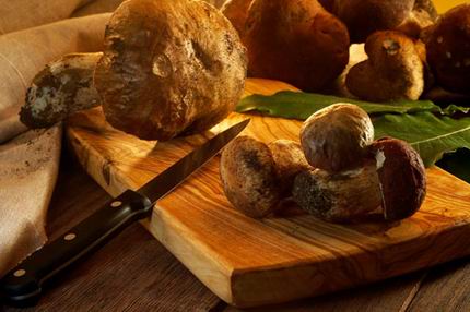 Funghi porcini