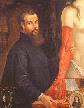 Andrea Vesalius autore di un Libro di anatomia proibito Andrea Vesalius autore di un Libro di anatomia proibito