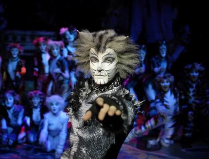 CATS