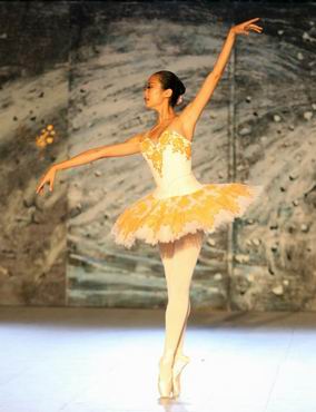 Festa della danza