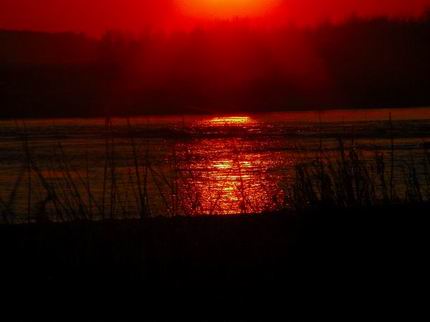 Piave rosso by GIUSEPPE BORSOI