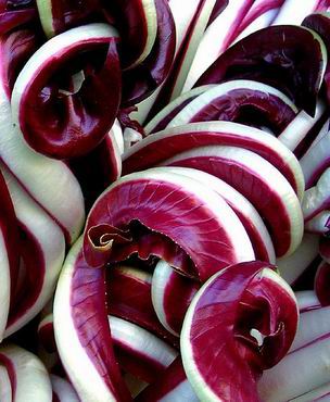 Radicchio rosso di Treviso