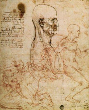 Un disegno di Leonardo