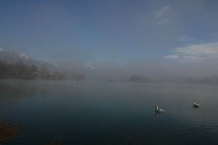 Lago di Busche Foto della Lipu