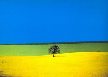Fotografia di Franco Fontana