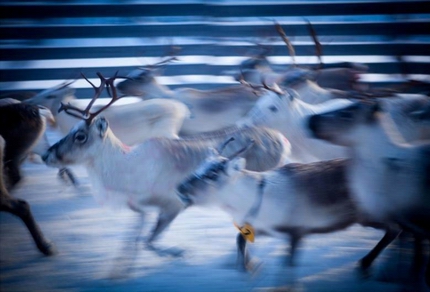 Foto di Stefan Bremer, Porot Juoksee