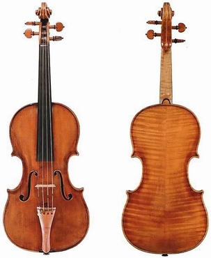 Violino