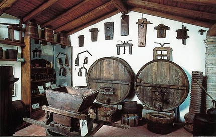Museo del Vino Ricci Curbastro